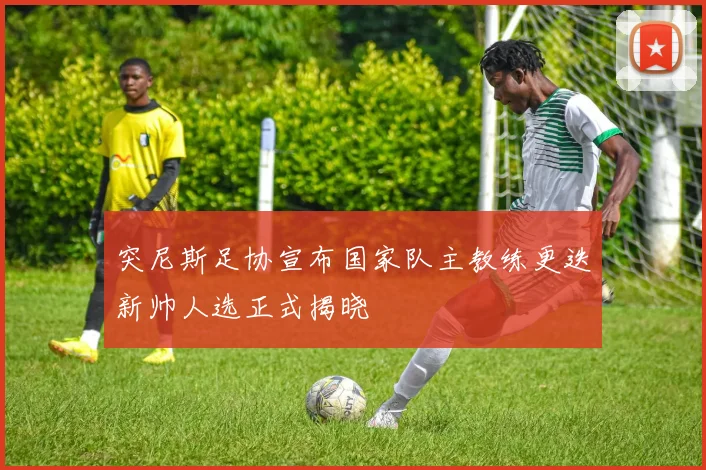 突尼斯足协宣布国家队主教练更迭新帅人选正式揭晓