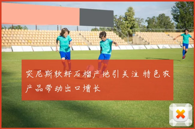 突尼斯软籽石榴产地引关注 特色农产品带动出口增长
