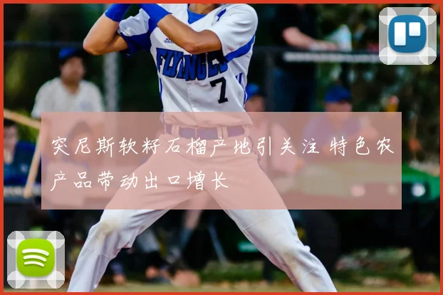突尼斯软籽石榴产地引关注 特色农产品带动出口增长