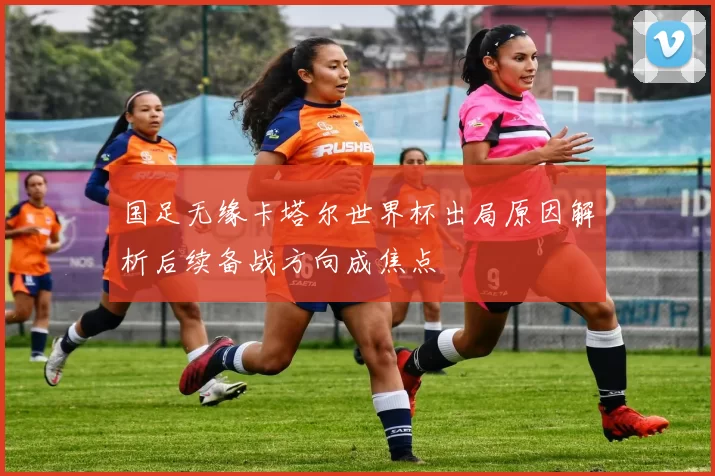 国足无缘卡塔尔世界杯出局原因解析后续备战方向成焦点