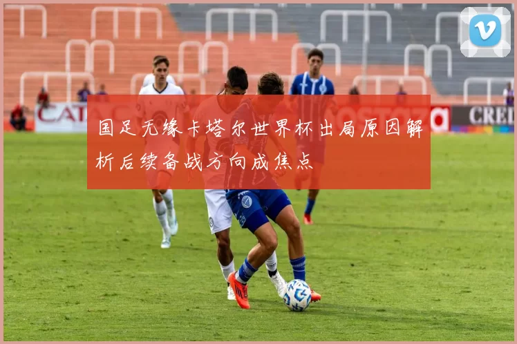 国足无缘卡塔尔世界杯出局原因解析后续备战方向成焦点